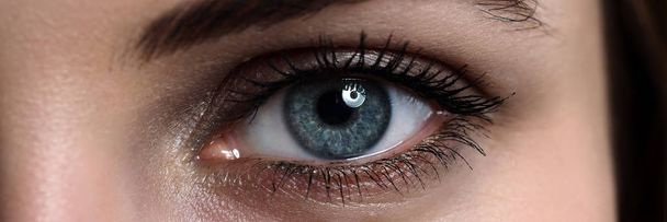 Female left green coloured eye extreme closeup - Photo, Image