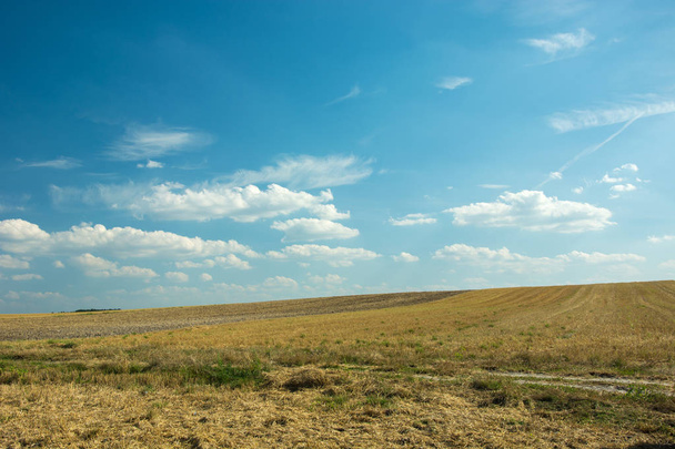 Mowed field on the hill, horizon and clouds in the blue sky - Φωτογραφία, εικόνα