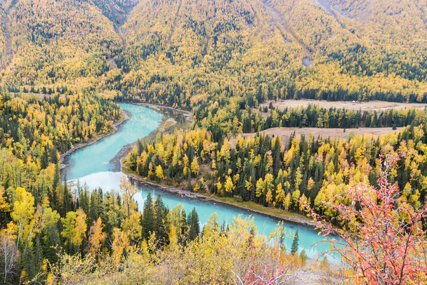 かなまじりの秋の風景、美しいムーン ベイ、新疆ウイグル自治区 - 写真・画像