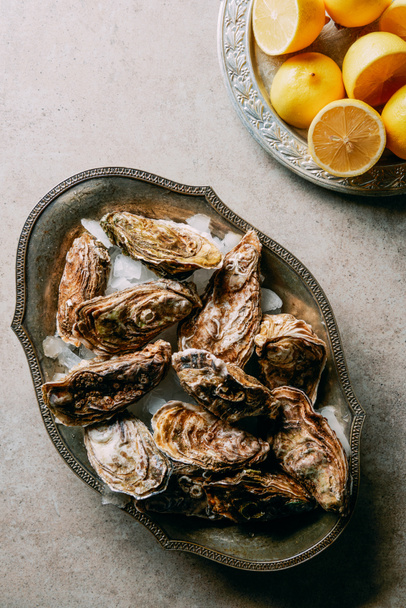 flat lay with oysters in ice and lemon pieces on grey surface - Photo, Image