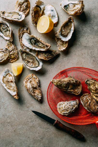 flat lay with arranged oysters, net and knife on grey surface - Foto, immagini