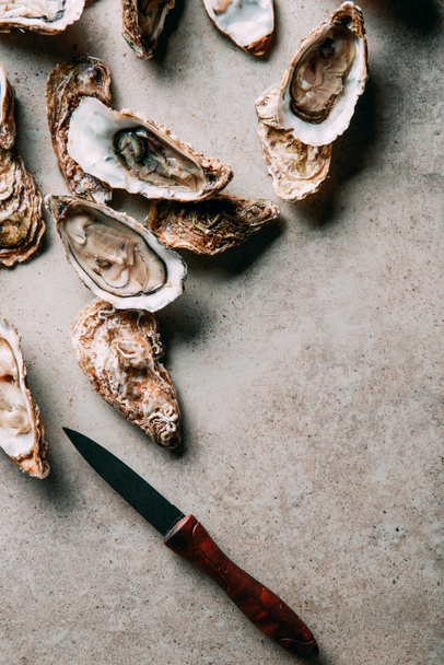 flat lay with arranged oysters and knife on grey surface - Foto, Imagen