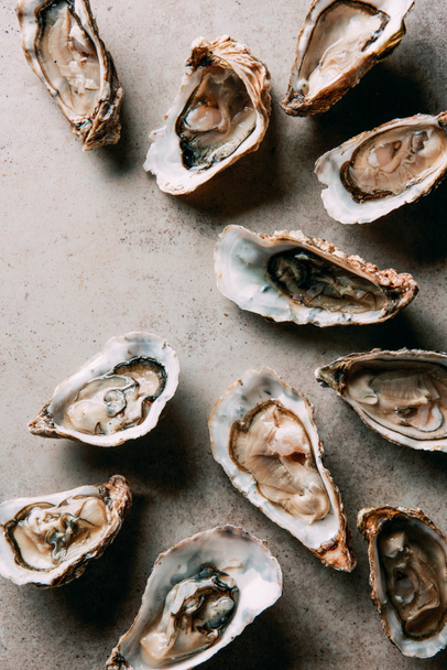 flat lay with arranged oysters on grey surface - Zdjęcie, obraz