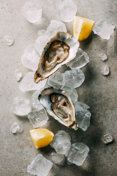 top view of oysters, cut lemon and ice cubes on grey tabletop - Fotó, kép