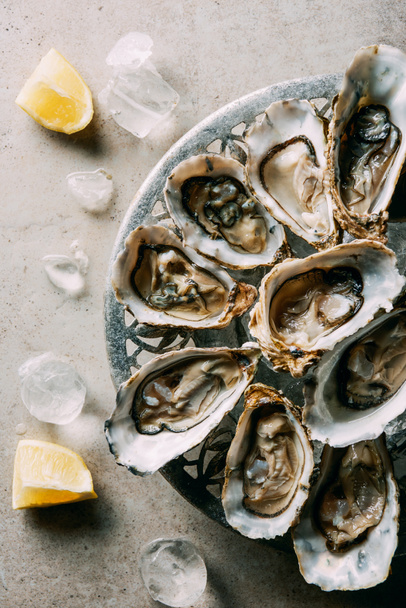 top view of arranged oysters in bowl, ice cubes and lemon pieces on grey tabletop - 写真・画像