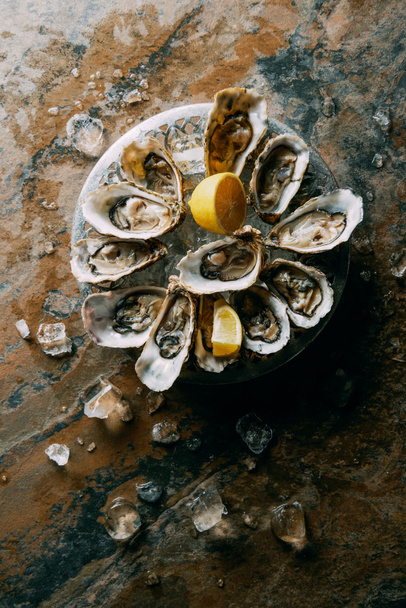 top view of oysters, ice and lemon on grungy tabletop - Фото, изображение