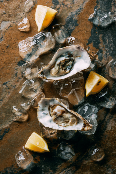 food composition of oysters, lemon pieces and ice on grungy tabletop - Photo, Image