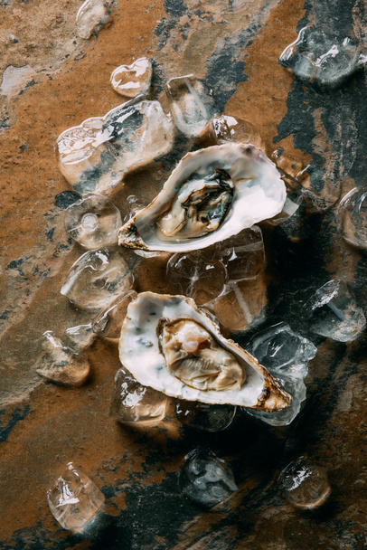 pose plate avec glaçons disposés et huîtres sur le dessus de table grungy
 - Photo, image