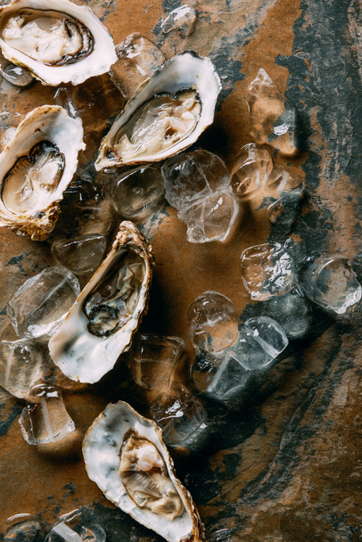 top view of oysters and ice cubes on grungy surface - 写真・画像