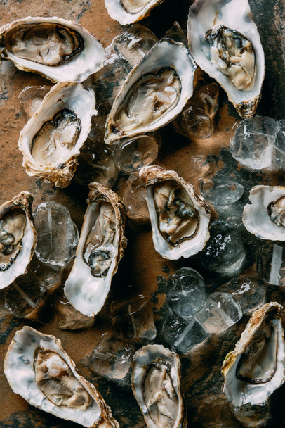 top view of oysters and ice cubes on grungy surface - Foto, Bild
