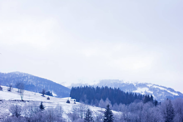 Winter mountain landscape. Mountains in the snow. The first snow in the mountains. twilight on mountain meadow covered with first frost in the Carpathian mountains. - Foto, Imagen