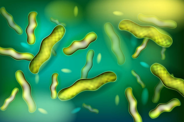 Бактерии Lactobacillus, грамположительные бактерии молочной кислоты в форме стержня
.  - Вектор,изображение