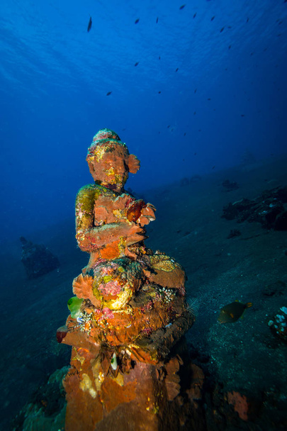 Underwater temple on Bali. Indonesia - 写真・画像