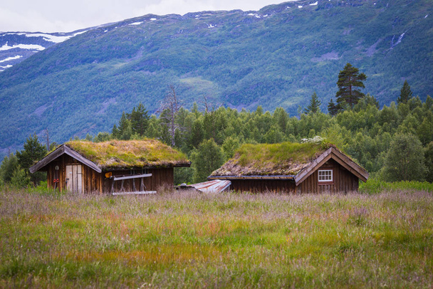 Norwegian house with grass roof - Fotoğraf, Görsel