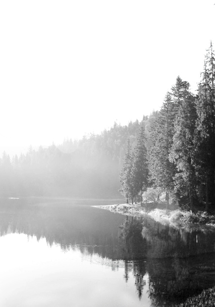 ομίχλη το πρωί στην λίμνη sinevir - Φωτογραφία, εικόνα