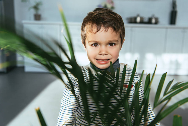 enfoque selectivo de adorable niño mirando a la cámara cerca de la planta de interior verde en casa
 - Foto, imagen