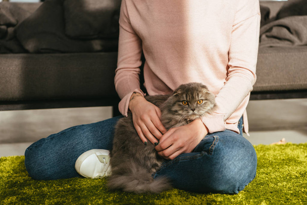 частичный вид очаровательной британской длинноволосой кошки, сидящей с женщиной на полу дома
 - Фото, изображение