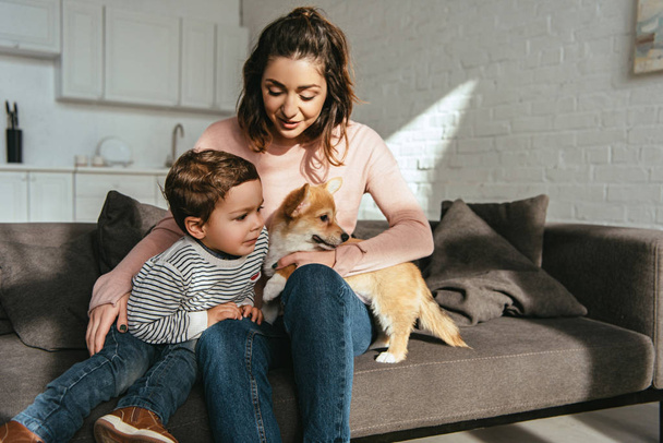 selective focus of woman and her little son sitting on sofa with adorable corgi at home - Φωτογραφία, εικόνα