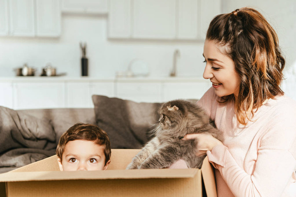 mujer feliz poniendo británico pelo largo gato en caja de cartón con su pequeño hijo en casa
 - Foto, Imagen