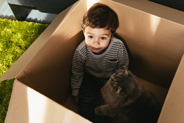cheerful little boy and british longhair cat in cardboard box at home - Photo, Image