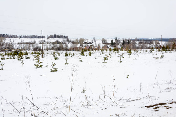 Последние дни зимы на полях
 - Фото, изображение