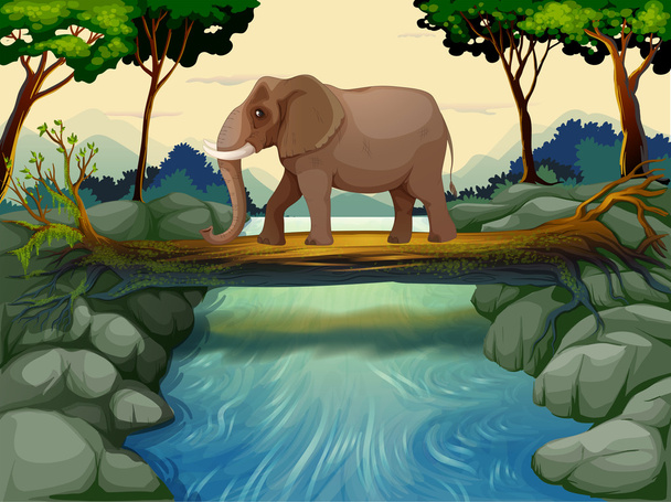 Słoń na rzece - Wektor, obraz