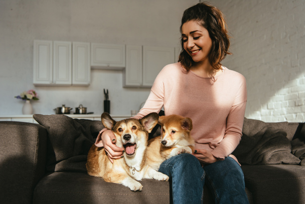 beautiful smiling woman sitting on sofa with welsh corgi dogs at home - Fotó, kép