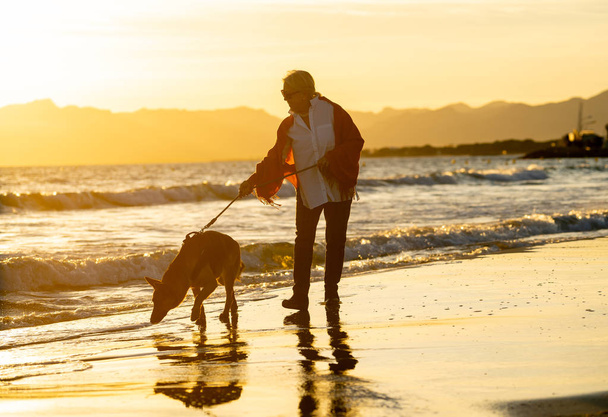 Beautiful retired older woman and pet german shepard dog walking along the shore sea ocean on beach in Companionship Benefits of animals Keeping active Retirement lifestyle and Dog friendly tourism. - Fotó, kép