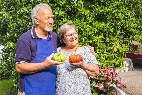 ζευγάρι των ενηλίκων ανώτερος καυκάσιος άνδρας και γυναίκα με μεγάλο σπίτι έκανε ντομάτες στο χέρι ένα πράσινο ένα κόκκινο έτοιμο να φαγωθεί - Φωτογραφία, εικόνα
