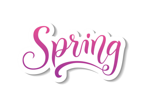 Modern calligraphy lettering of Spring in pink and purple with white outline and shadow in paper cut style on white - Vektör, Görsel