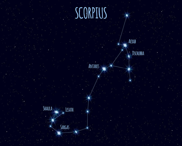 Scorpius (The Scorpion) constellation, vector illustration with the names of basic stars against the starry sky - Vector, Image