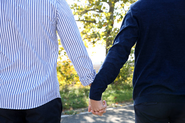 Gay couple holding hands outdoors, closeup view - Photo, Image