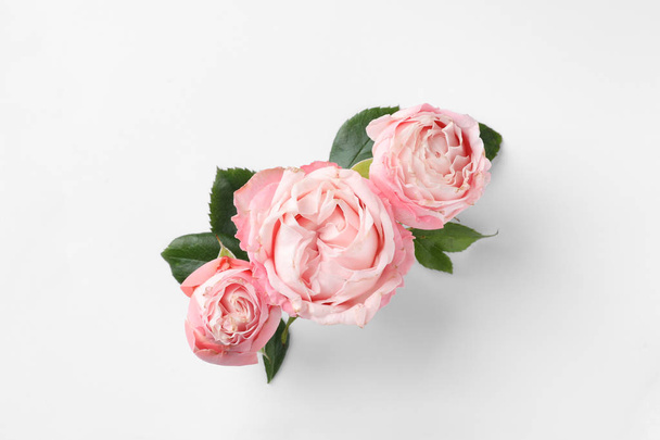 Beautiful roses on white background, top view - Φωτογραφία, εικόνα