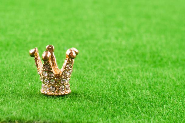 Модель короны золотого цвета с колосьями на траве
 - Фото, изображение