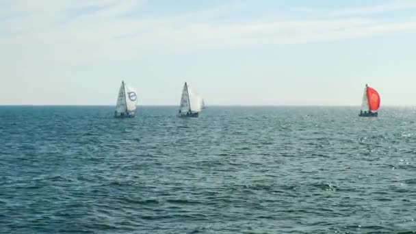 Zeilboten op zee met horizon - Video