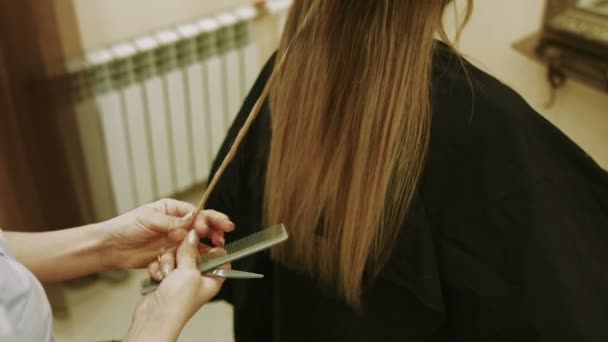Процес стрижки волосся
 - Кадри, відео