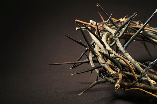 Crown of thorns - Photo, Image