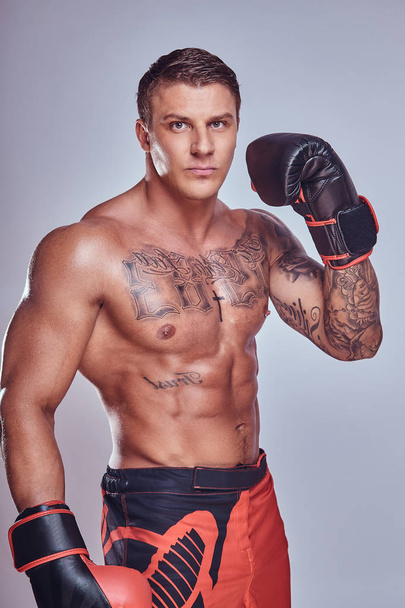 Brutal tattooed boxer in boxing gloves posing for a camera, isolated on a gray background. - Foto, Imagem