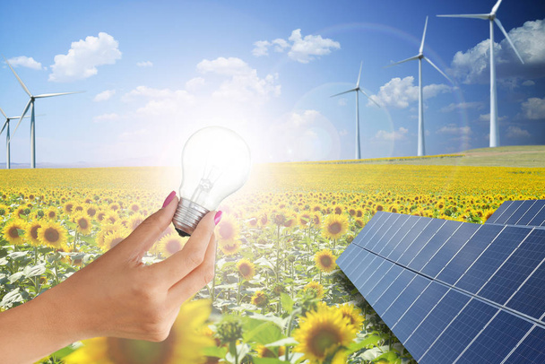 Green energy is the future with woman holding light bulb against renewable background - Foto, afbeelding