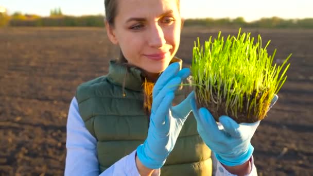Female farmer examines a sample of seedlings before planting it in the soil - Záběry, video