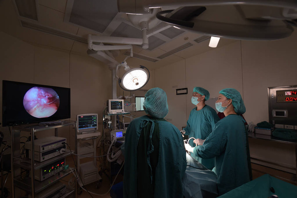 gruppo di chirurgia veterinaria in sala operatoria per laparoscopia
 - Foto, immagini