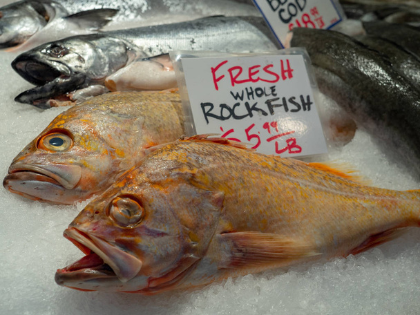 魚市場の氷で凍結新鮮な全体のロックフィッシュ - 写真・画像