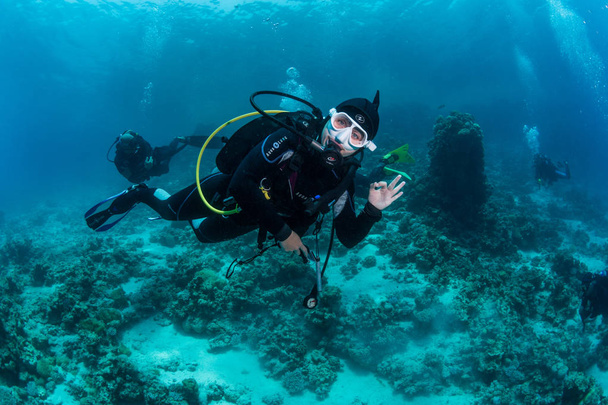 Potápěč se fotografie chobotnice na dně Rudého moře - Fotografie, Obrázek