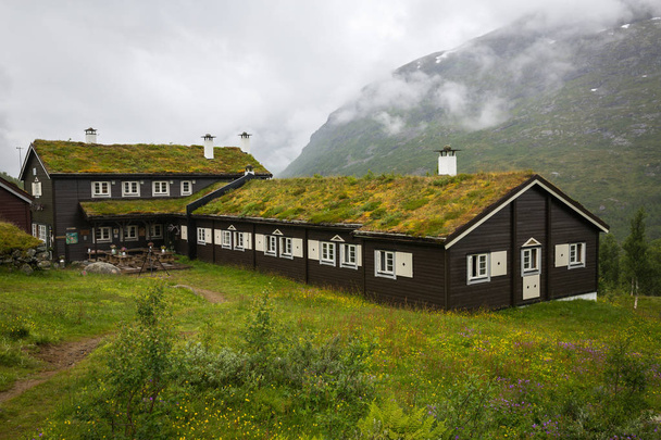 Norwegian house with grass roof - Fotoğraf, Görsel