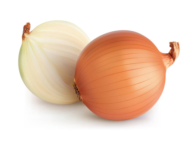 Onions isolated. Realistic 3d illustration - Photo, Image