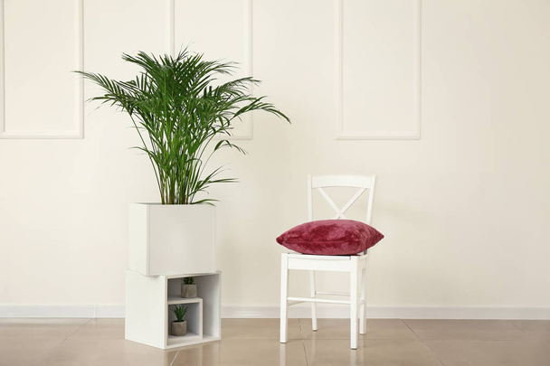 Palme décorative Areca à l'intérieur de la chambre
 - Photo, image