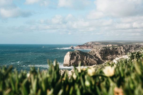 Beautiful views of the Atlantic Ocean and coastal cliffs and plants. - Foto, afbeelding