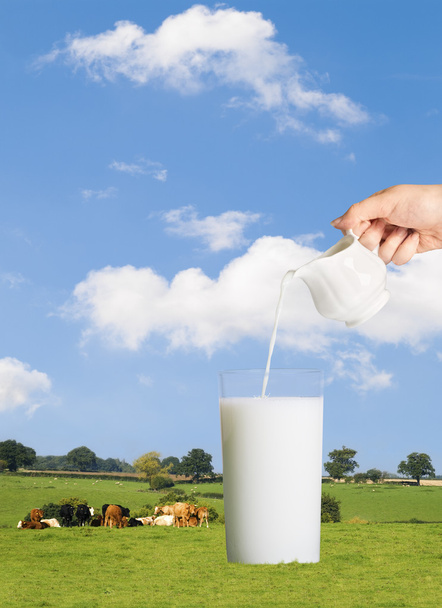 Pouring Milk - Foto, imagen