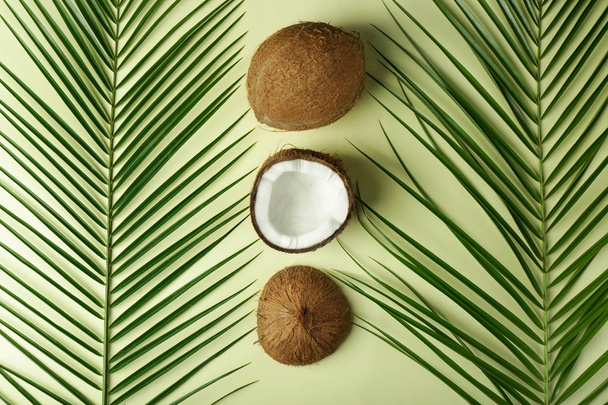 熟したココナッツとヤシの葉の色の背景 - 写真・画像