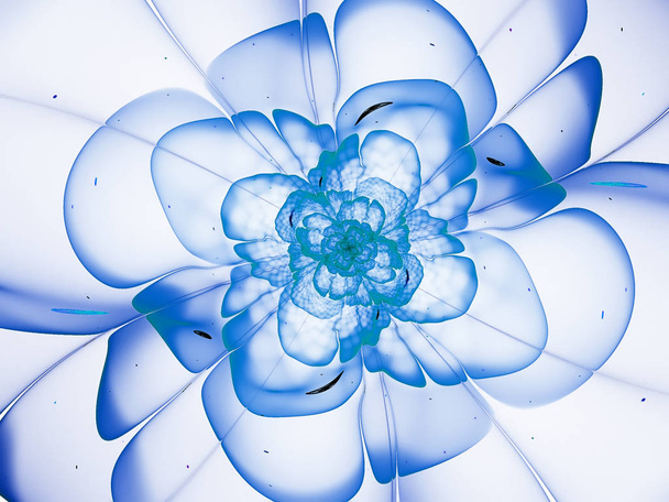 abstracte fractal bloem kleurrijke achtergrond - Foto, afbeelding